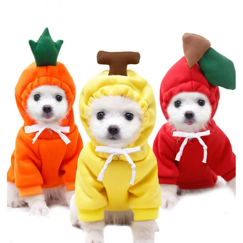 Cute Hooded Sweatshirt